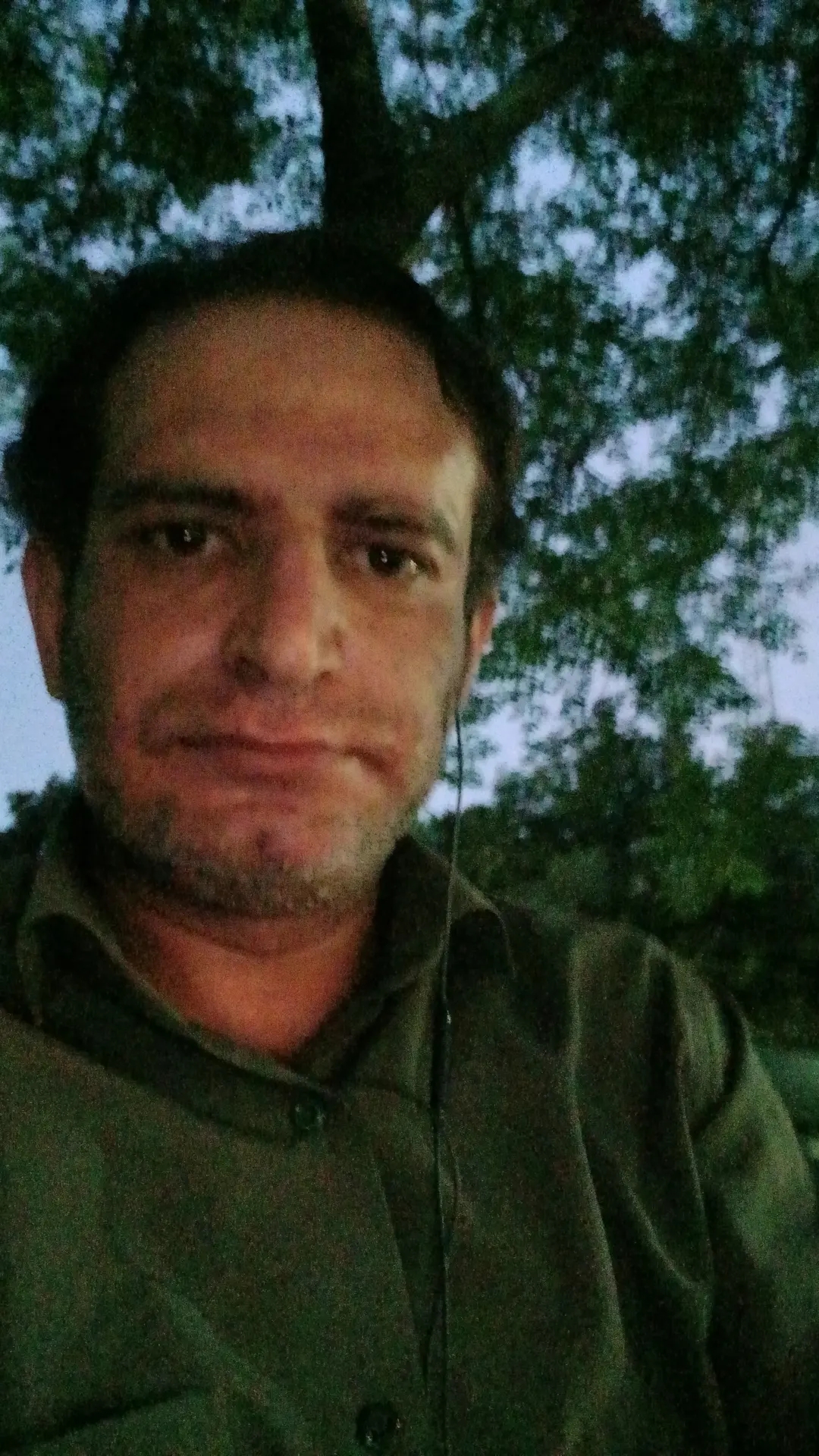 بهنام فعله گری 