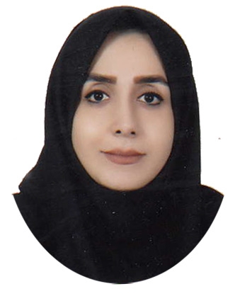 مریم سیدمتین 