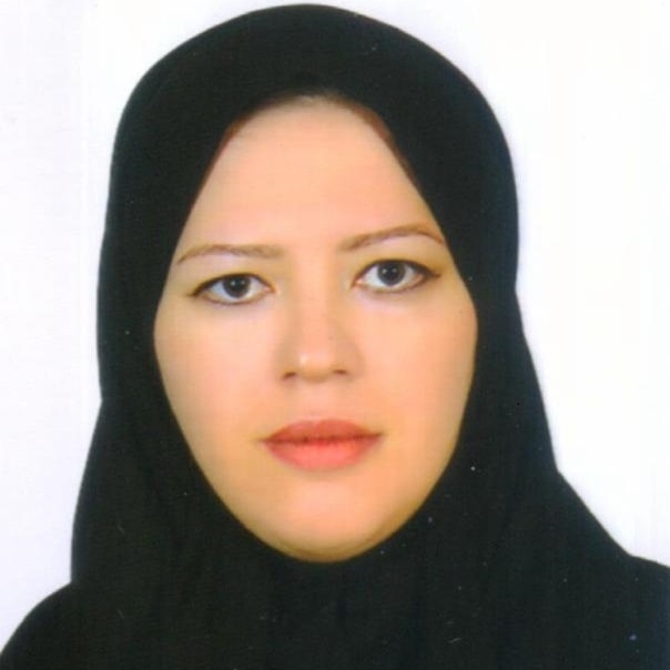 اکرم انصاری 