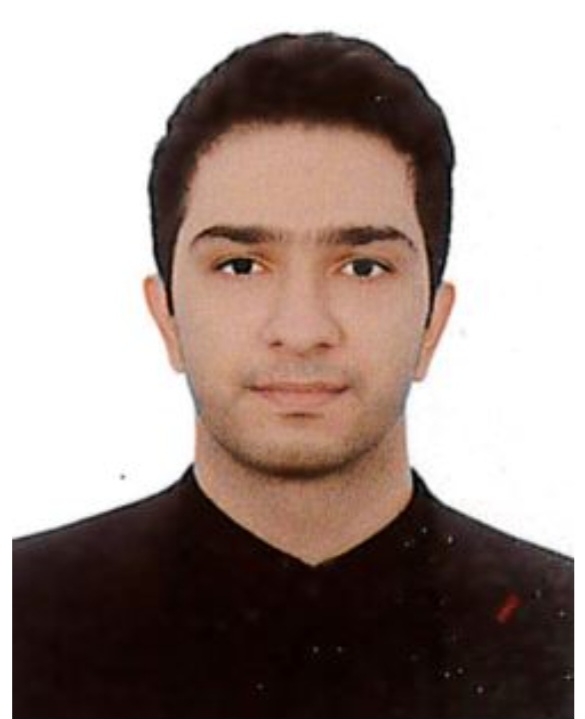 سید حسین علوی 