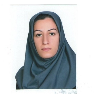 مریم شامحمدی 